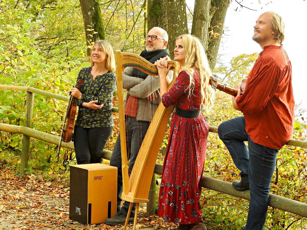Tempera Irish Folk Band
